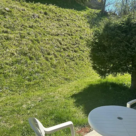 In Near Area Veysonnaz