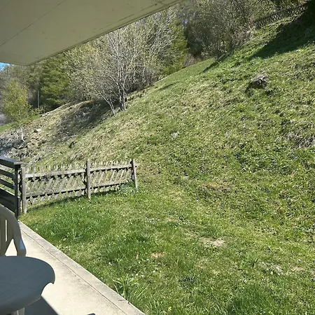 In Near Area Apartment