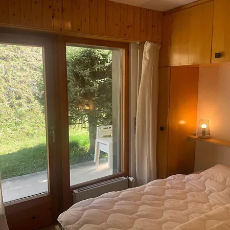 In Near Area * Veysonnaz